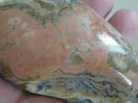 DSCF6725.webp
