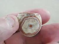DSCF6726.webp