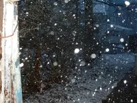 DSCF0003.webp