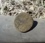 scovill 2.webp