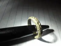 goldring2.webp