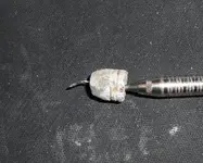 bullet 16d.webp