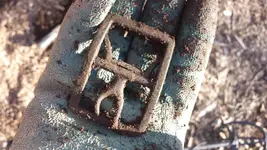 buckle 1.webp