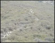 0034.webp 0034.webp