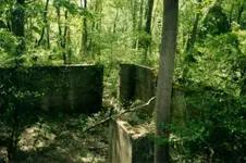 warren 13 bungalow foundation.webp