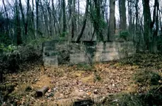warren 15 Bungalow Foundation.webp