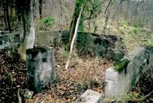 warren 17 Bungalow Foundation.webp