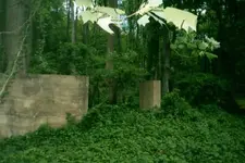warren 19 Foundation.webp