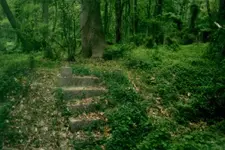 warren 26 steps Bungalow.webp