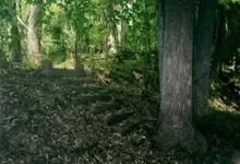 warren 27 steps Bungalow.webp
