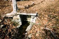 warren 29 spring.webp