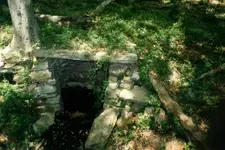 warren 31 spring.webp