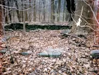 warren 32 stone foundation.webp