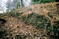 warren 33 stone wall herring hill.webp