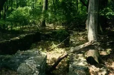 warren 36 stone foundation.webp