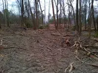 IMG-20140404-00207.webp
