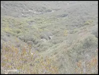 0040.webp 0040.webp
