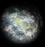 Green4.webp