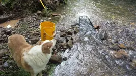 20140427_124215.webp