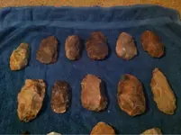 image-4276494105.webp