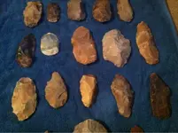 image-3295086846.webp