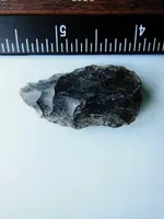 DSCN8763.webp