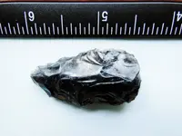 DSCN8766.webp