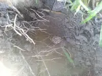 20140322_080405.webp