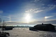 sundog.webp