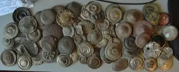 P1120038 (640x260).webp