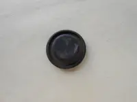 tiny button 002.webp
