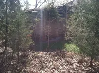 image-1013412822.webp