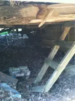 image-294501057.webp