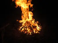 IMG_1276.webp IMG_1276.webp