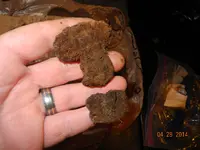 DSCN9903.webp