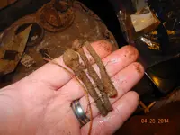 DSCN9908.webp