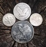 4-21 silver back.webp