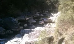 IMAG0804.webp