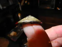 DSCN9911.webp