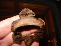 DSCN9922.webp