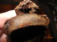 DSCN9923.webp