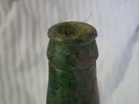 IMGP1506.webp