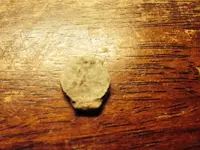 image-2996016074.webp