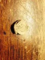 image-507572152.webp