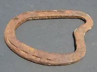 bar shoe1.webp