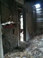 image-226990381.webp
