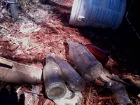 140401_002.webp