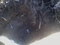 140401_006.webp