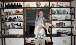 dfghgfh.webp