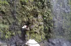 aaaaa1111.webp